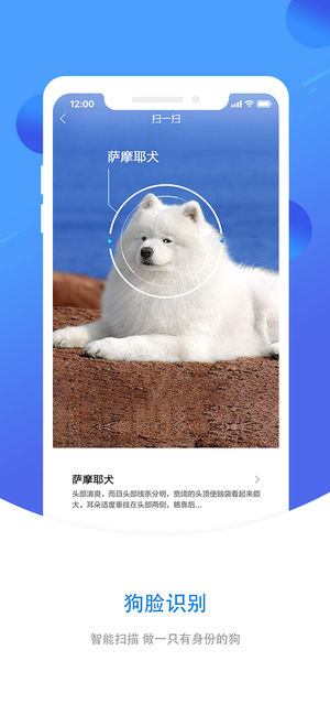 犬易手机软件app截图