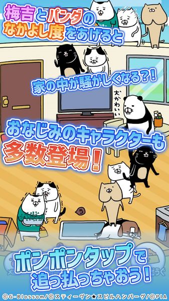 熊猫与狗狗的美好人生手游app截图