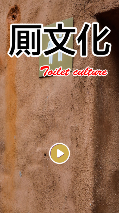 厕所文化手游app截图