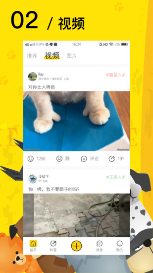 爱宠星球（爱宠网官方APP）手机软件app截图