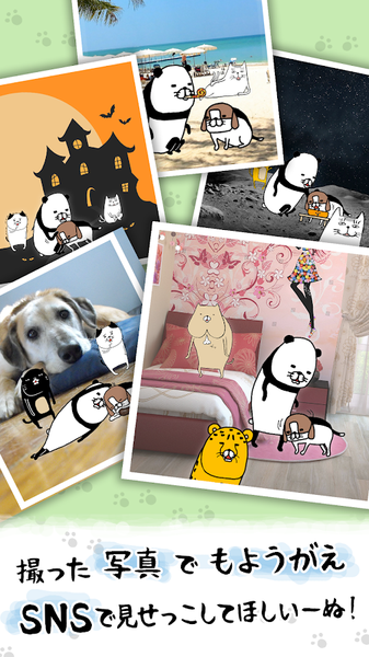 熊猫与狗：狗狗一直超可爱手游app截图