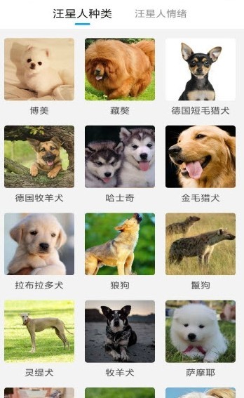 猫狗动物翻译器手机软件app截图