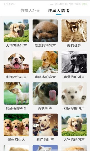 猫狗动物翻译器手机软件app截图