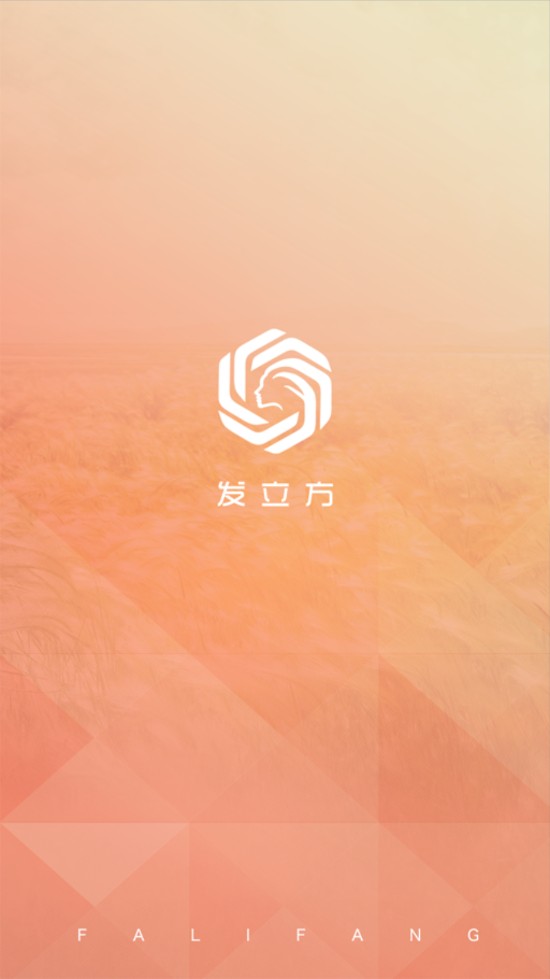 发立方手机软件app截图