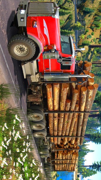 伐木货运卡车运输模拟器手游app截图