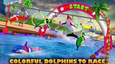 海豚比赛3D手游app截图
