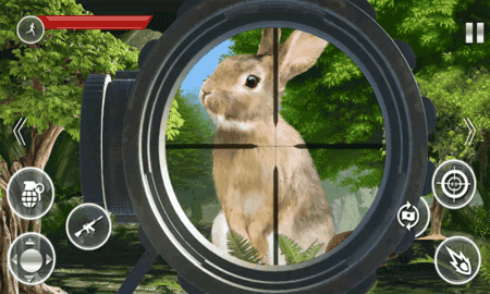精英猎杀野兔手游app截图
