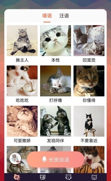 猫语互译手机软件app截图