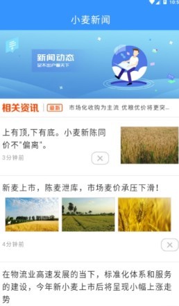 小麦花手机软件app截图