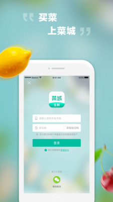 菜城生鲜手机软件app截图
