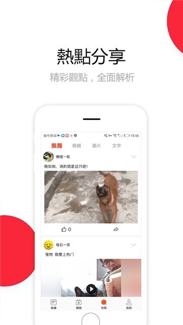 ACE头条手机软件app截图