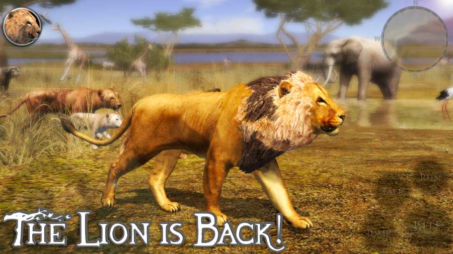 终极狮子模拟器2手游app截图