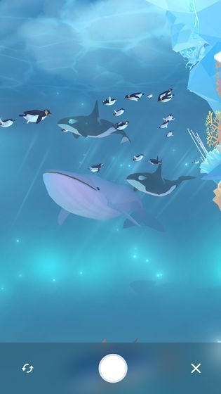 金多多水族馆 最新版手游app截图