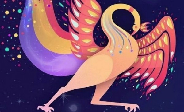 神鸟世界手机软件app截图