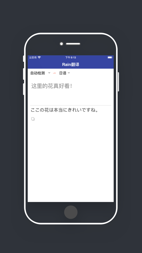 Rain翻译手机软件app截图