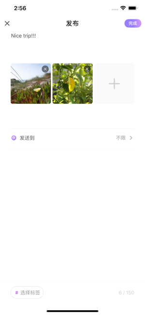 小鱼星球手机软件app截图