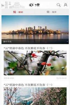 重庆渝中手机软件app截图