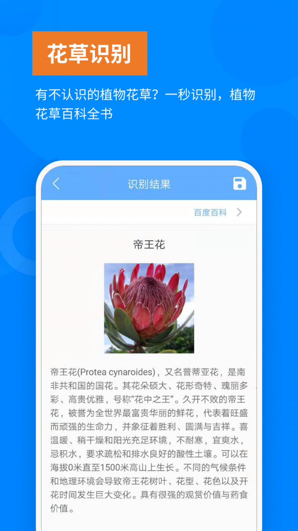 洋果扫描王手机软件app截图