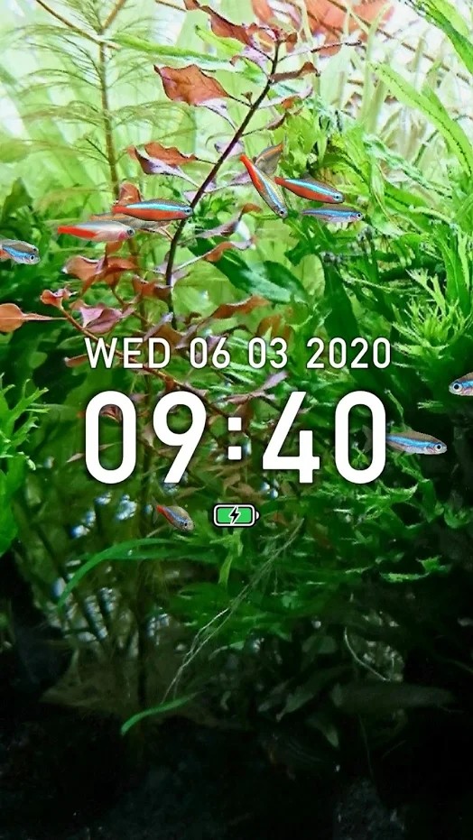 迷你水族：热带鱼缸手游app截图