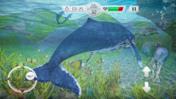 全民养鲸鱼手游app截图
