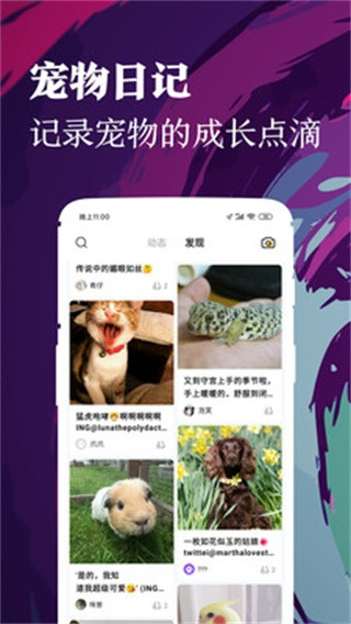 铲屎官手机软件app截图