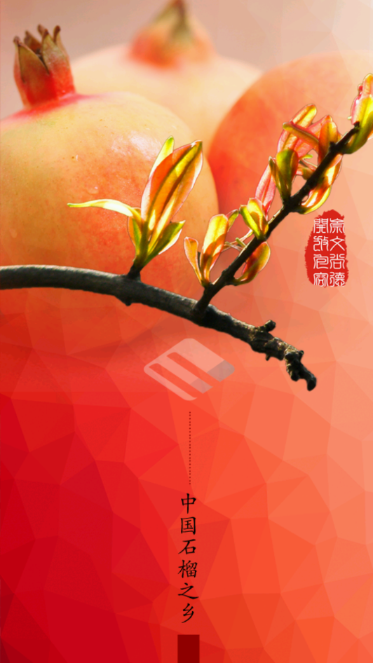 今日蒙自手机软件app截图