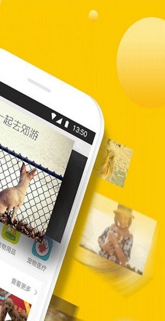 宠狐手机软件app截图