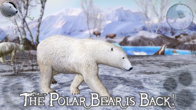 北极熊模拟2 最新版手游app截图