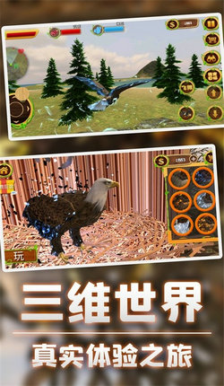 猎鹰模拟器3D手游app截图