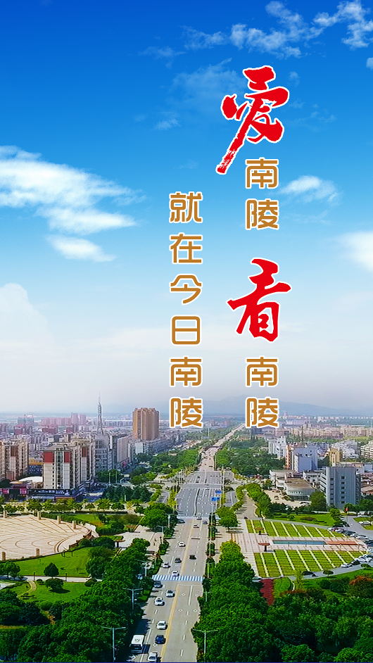 今日南陵 最新版手机软件app截图
