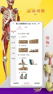 3DBody解剖手机软件app截图