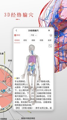 3DBody解剖 8.0版手机软件app截图