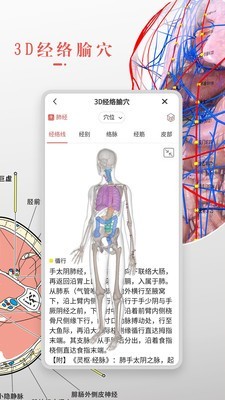 3DBody解剖 电脑版手机软件app截图