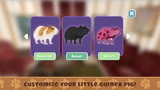 养豚鼠进化模拟器手游app截图