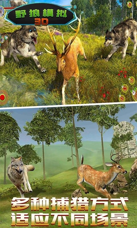 野狼模拟3D 最新版手游app截图