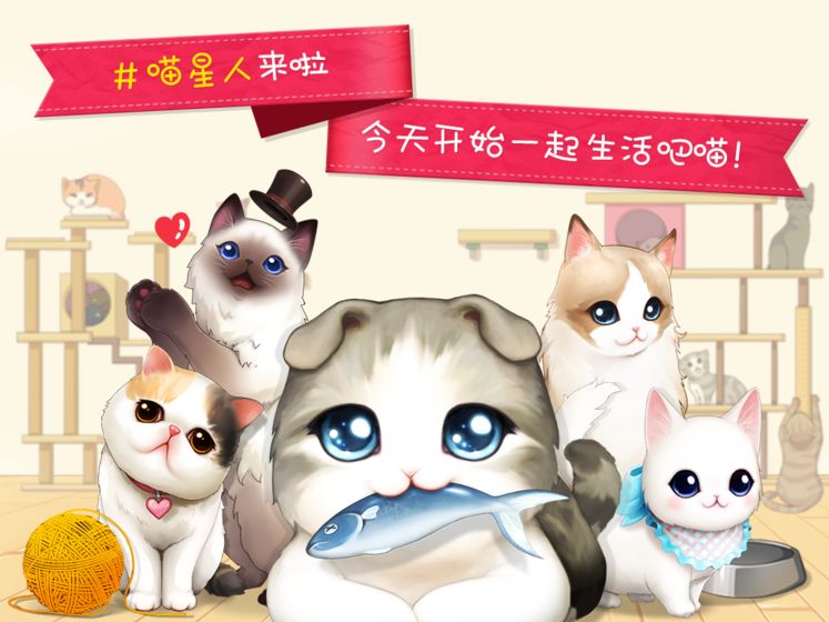 猫猫咖啡屋 最新版手游app截图