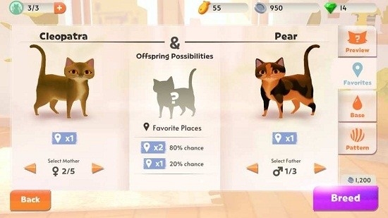 我的猫舍 手游版手游app截图
