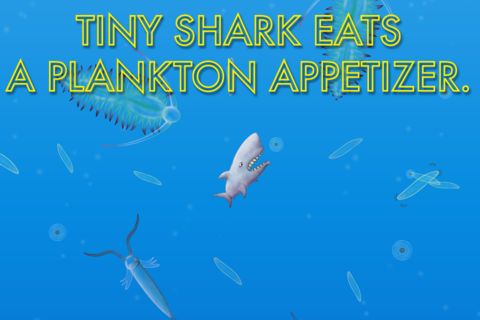 美味海洋 鲨鱼版手游app截图