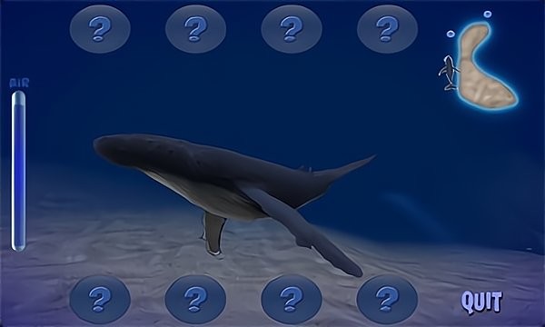 座头鲸模拟器 无限货币版手游app截图
