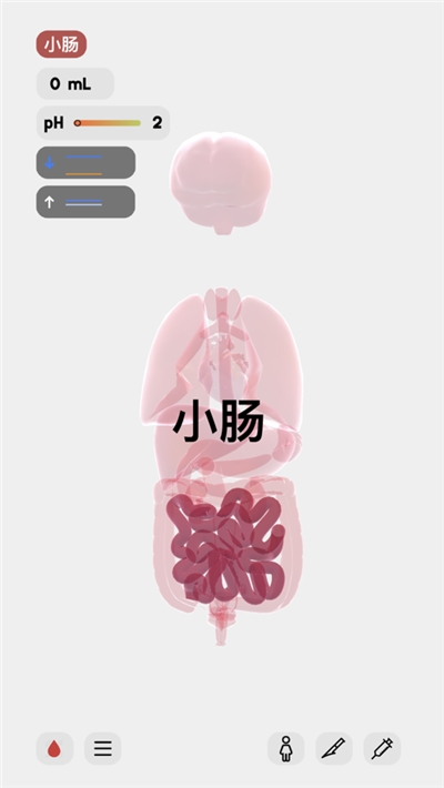 生命人体模拟器 最新版手游app截图