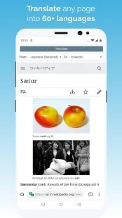kiwi浏览器 最新安卓版手机软件app截图