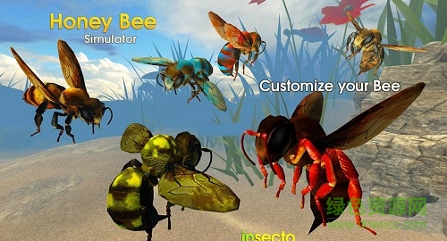 蜜蜂模拟器3D手游app截图