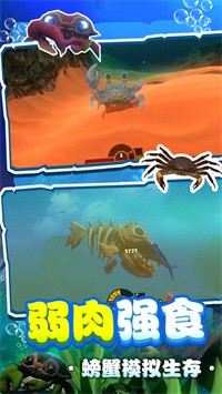 螃蟹生存模拟手游app截图