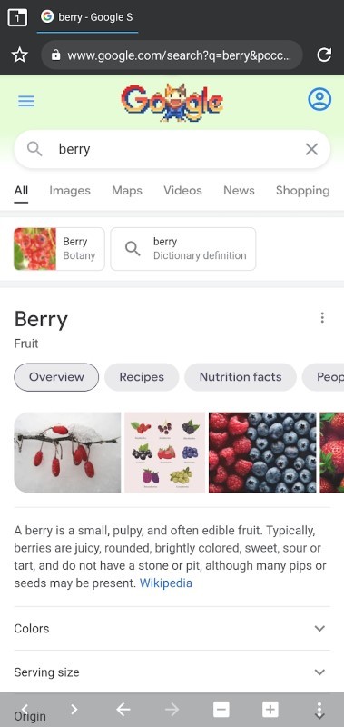 berry浏览器手机软件app截图