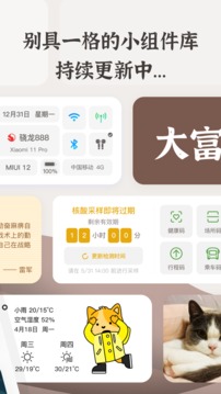 小组件盒子 灵动岛手机软件app截图