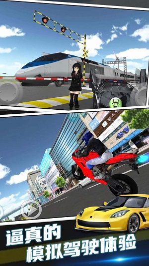 3D赛车驾驶课手游app截图