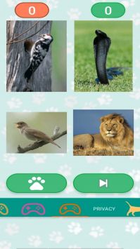 爱尼莫动物声音模拟 2022最新版手机软件app截图