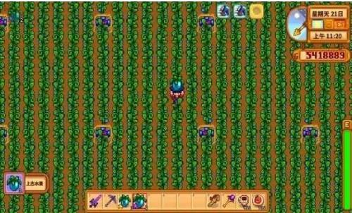 星露谷物语 全镇可娶手游app截图