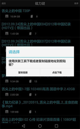 p2psearcher 搜索神器手机软件app截图