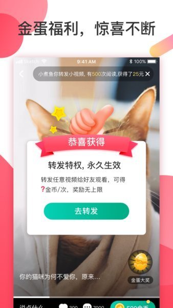 桃花岛视频手机软件app截图